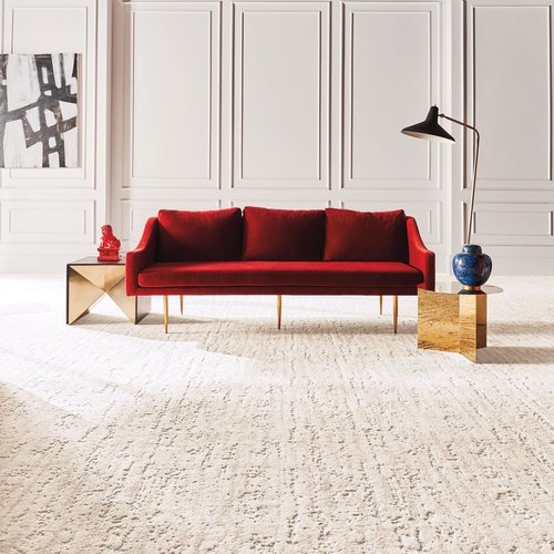 Red couch on carpet floor - CONTEMPORARY CARPET & FLOORING in FL
